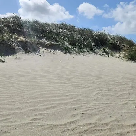 5 Person In Ferienhaus Fanø